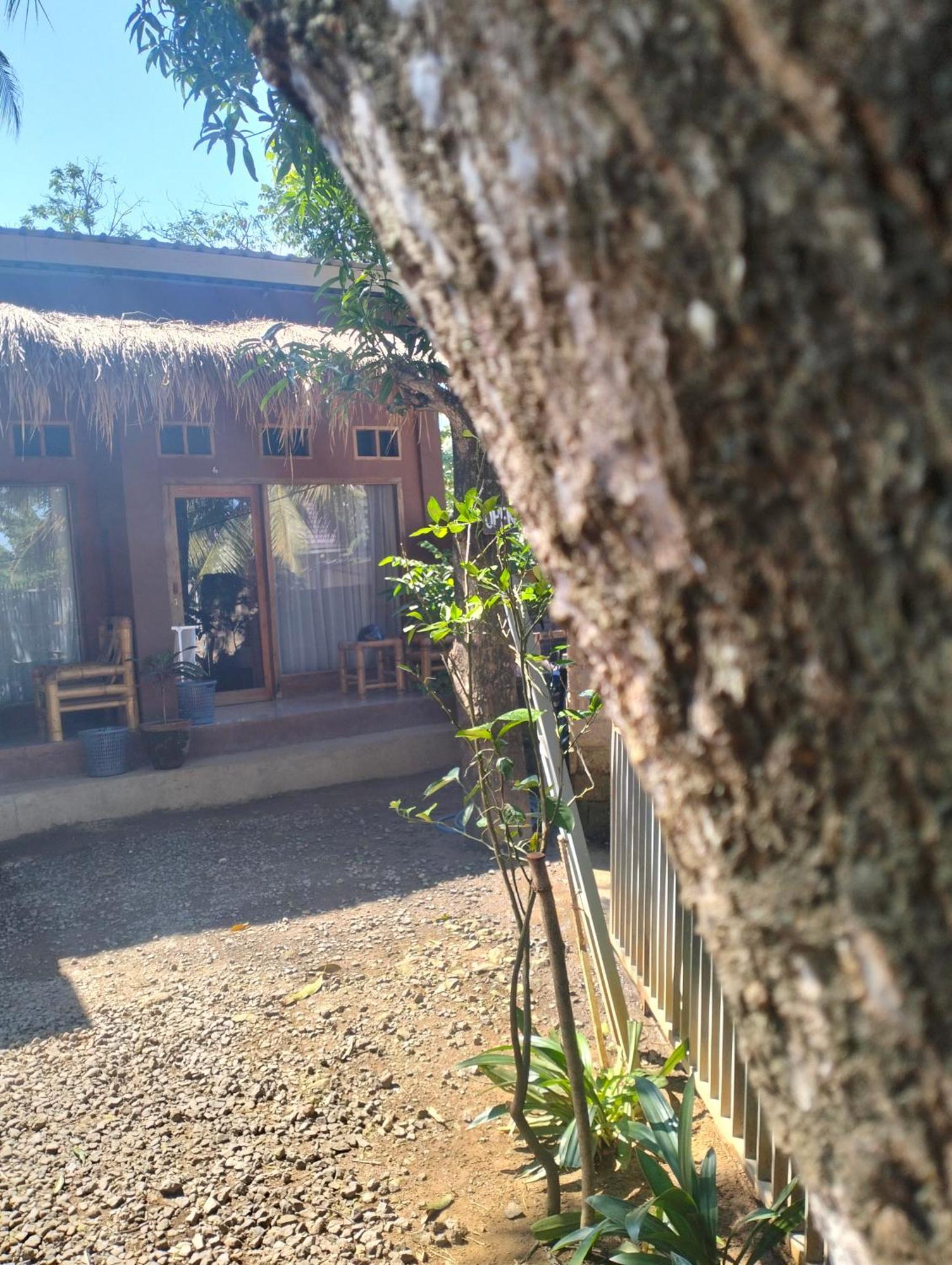 Fullmoon Homestay Kuta  Exterior photo